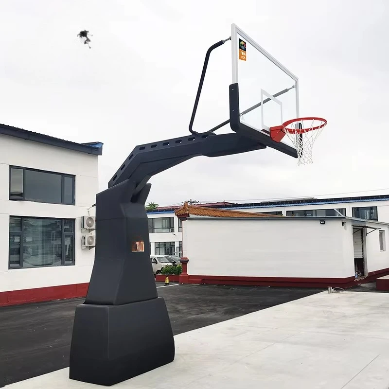 FIBA Approved Professional Bas - огляд і ціна Basketball Hoop